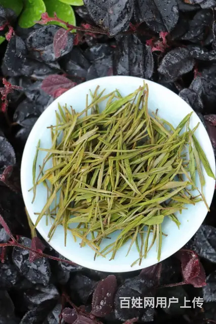 谷雨黄金芽 消暑解渴提神 小戴白茶直销 - 图片 2