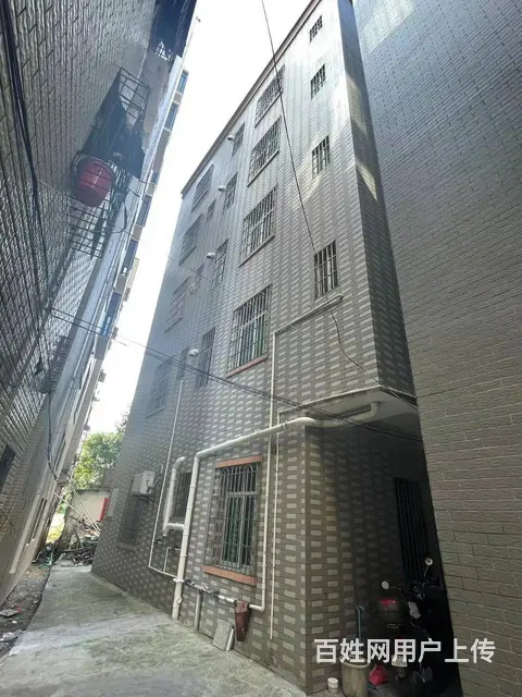 平乐上村碰田村 2-5.5层整栋出租 可住宅、做公寓、做办公 - 图片 1