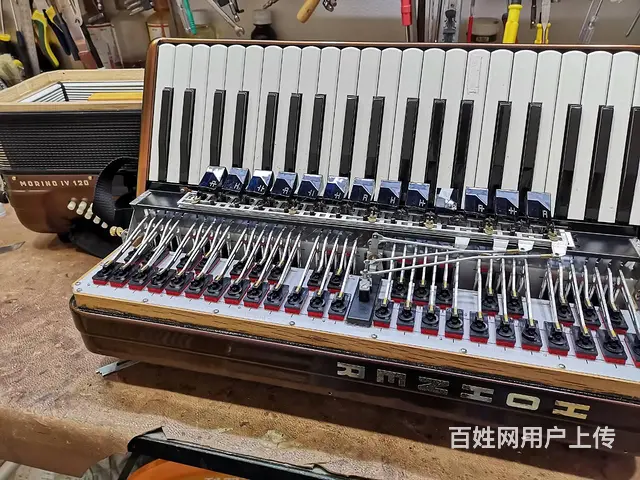 金杯手风琴维修服务，专业手风琴维修乐器维修 - 图片 1
