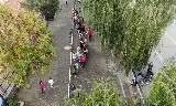 出租苗圃（在田里干啥也行） - 图片