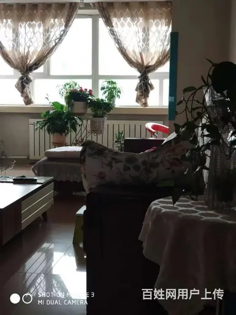 乌鲁木齐大湾昌乐园 普通住宅 中等装修 - 图片 5