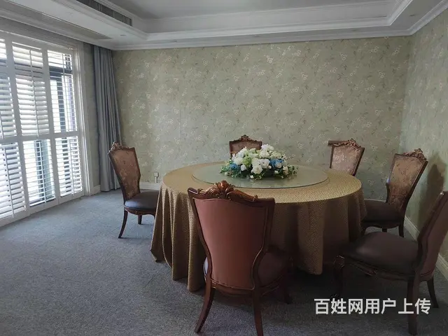 沙湖花园  洋房小高层  接待好房  桃源国际 - 图片 6