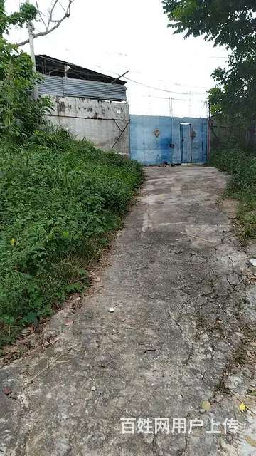 转让黄金地厂房 - 图片 12