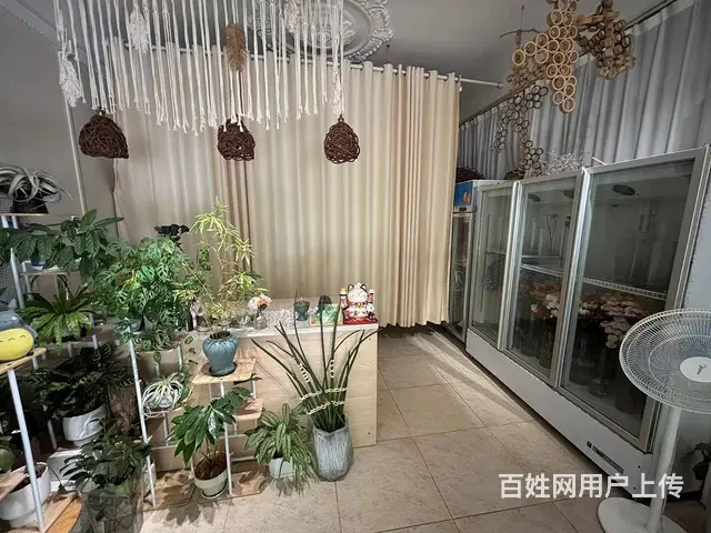 （51旺铺推荐）阳区海螺40平花艺店转让 - 图片 10
