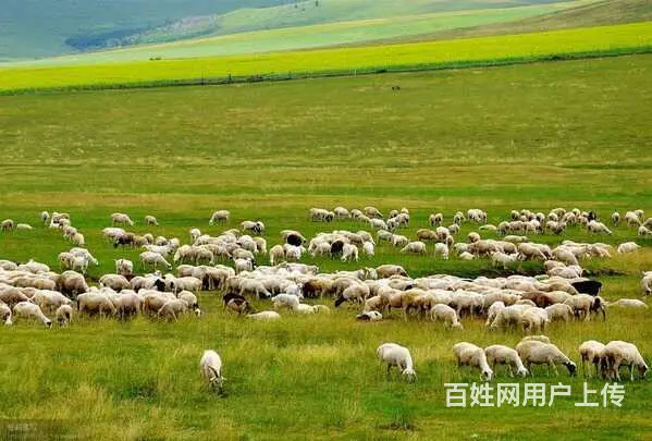 呼伦贝尔旅游包车师傅排名常师傅靠谱 - 图片 2