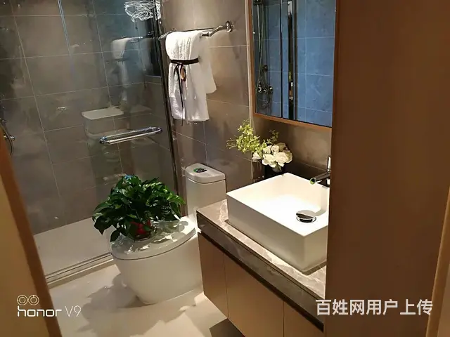 盛洋城市花园,南北通透正气户型，可落户可上学 - 图片 6