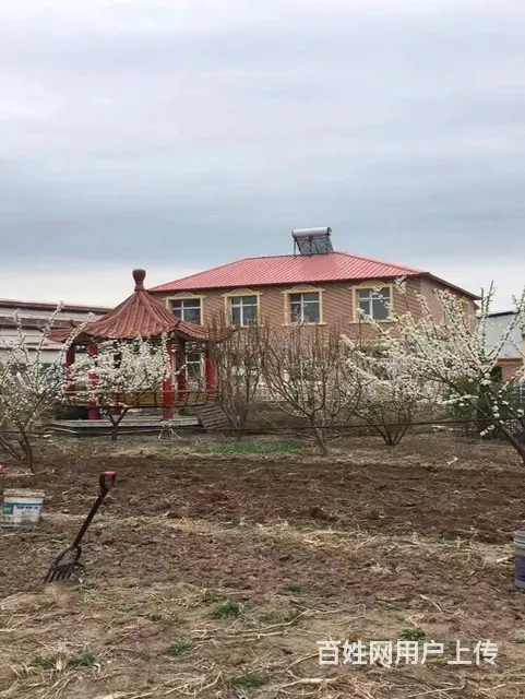 阿城区舍利街厂房别墅出售 - 图片 8