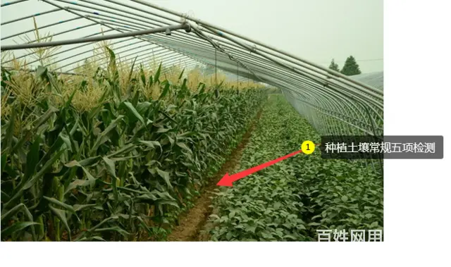 点击打开原图
