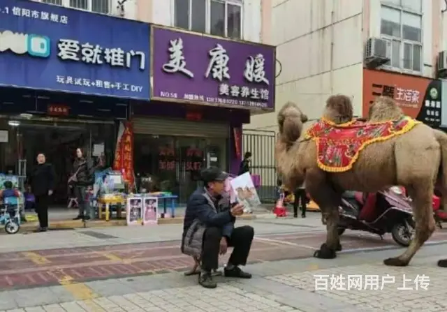 无转让费！体彩广场北侧中国燃气旁98平玩具店转让 - 图片 4