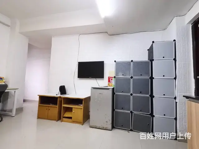 南大桥下家具家电齐全电梯公寓大开间带独立卫生间出租 - 图片 8