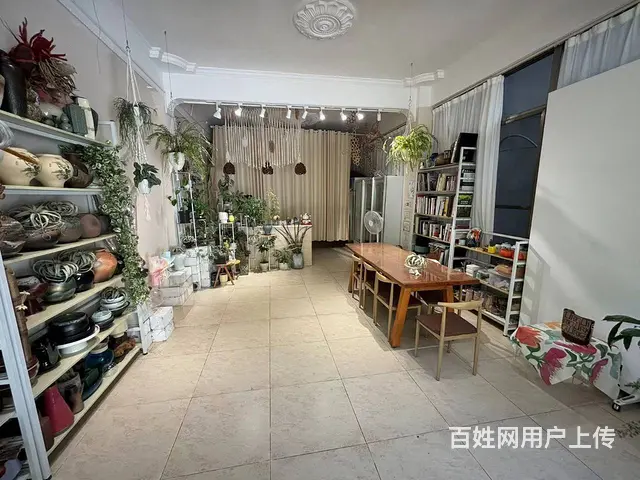 （51旺铺推荐）阳区海螺40平花艺店转让 - 图片 7