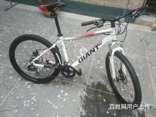 【搞定了！】捷安特山地车 - 图片 1