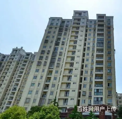 团购恐龙园 欧罗巴小镇旺铺 单价一万起 免费服务哦 - 图片 10