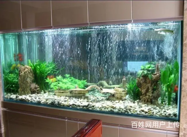 水簇服务 鱼缸换水清洗 鱼缸维修保养 - 图片 3