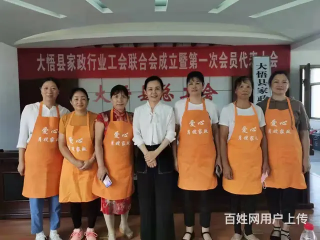 专业提供大悟保姆，大悟月嫂，大悟育儿嫂，大悟家政 - 图片 1