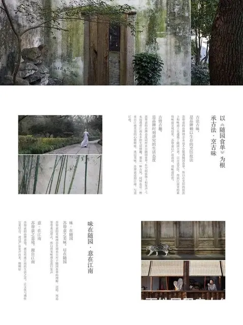 成都餐饮品牌菜单创意设计菜品拍摄 - 图片 3