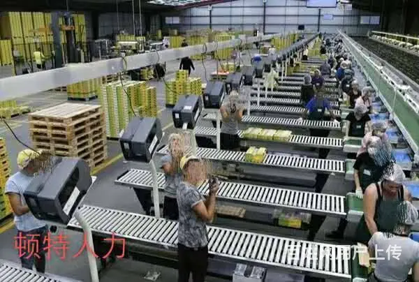 T常州新西兰雇主直招建筑工、普工 司机月薪3.5万 - 图片 1