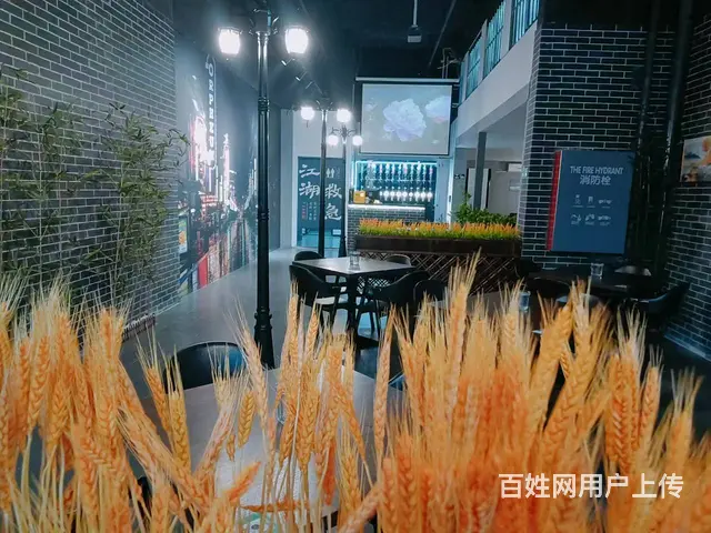 低价急转 独特格调邢台第一家清吧啤酒馆带供货商转让 - 图片 3