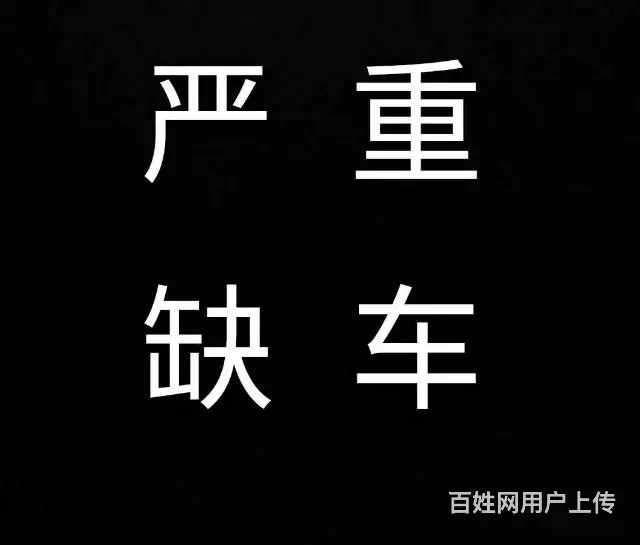 风行车行 - 图片 2