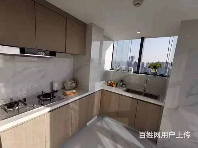 省府版块，中央公园旁，三房，通燃气，现房！ - 图片 5