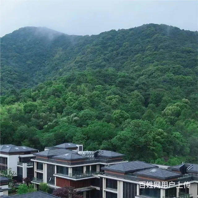 拱墅区350㎡排屋，1080万起，大花园+地下室 - 图片 4