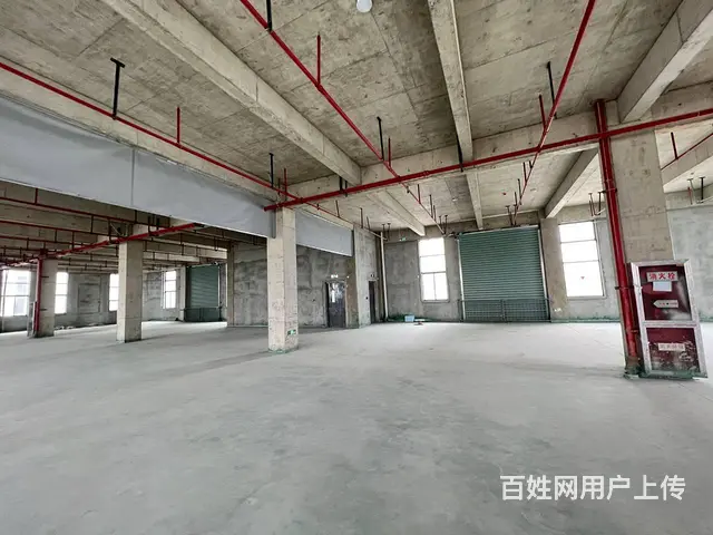 董浜全新厂房1至4楼4000平，高8米，有吊装平台，环氧地坪 - 图片 1