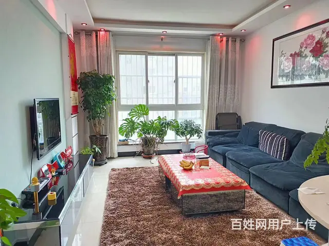 南昌路 洛浦公园  明珠花园  精装三居  电梯双气 - 图片 1