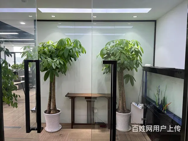 云狐科技园 直播电商好地方 房补1元 带露台精装直播间拎包 - 图片 2