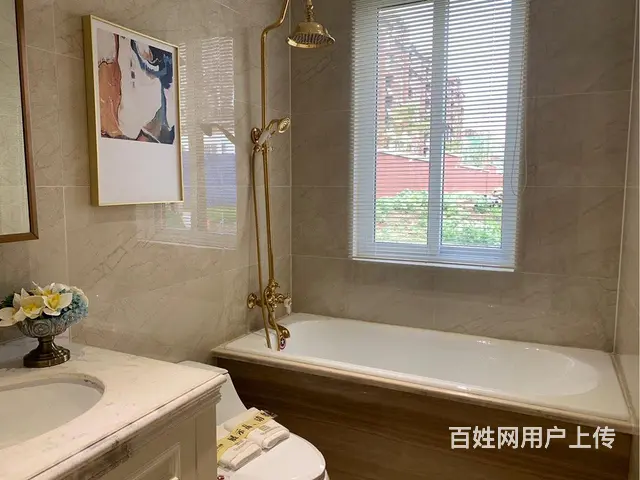 低首付金大地时代公馆 洋房一级小区物业高铁站恒大 - 图片 8