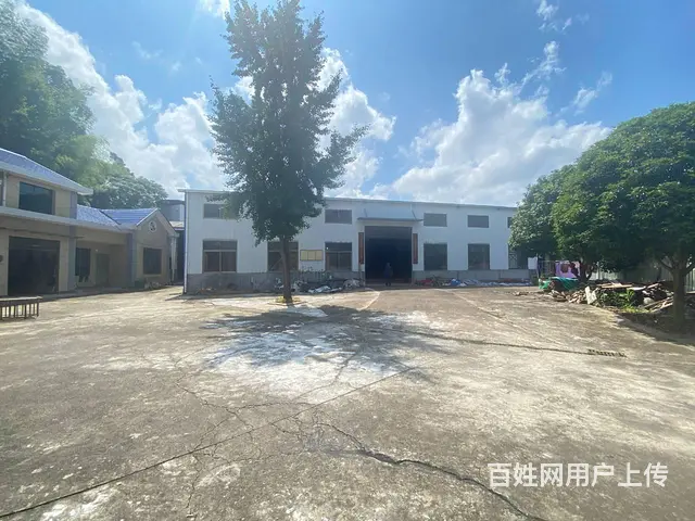 （房东直租）路口镇黄兴大道1100平厂房，仓库优价出租 - 图片 1