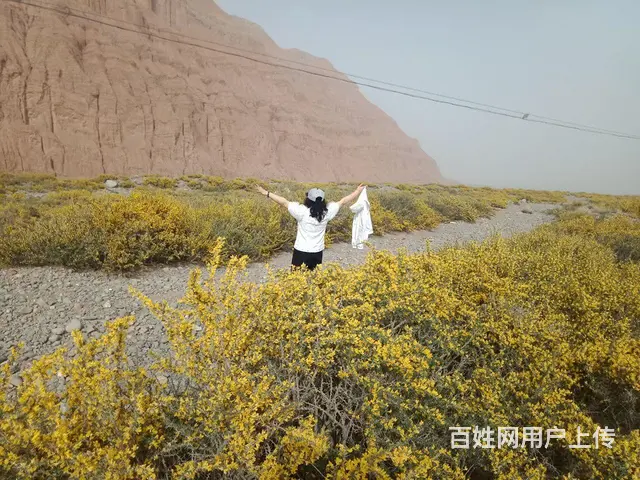 真诚征婚非诚勿扰 - 图片 2