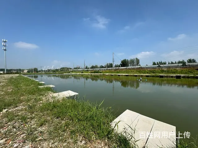 （徐州找店网）茅村独院鱼塘和土地出租 - 图片 8
