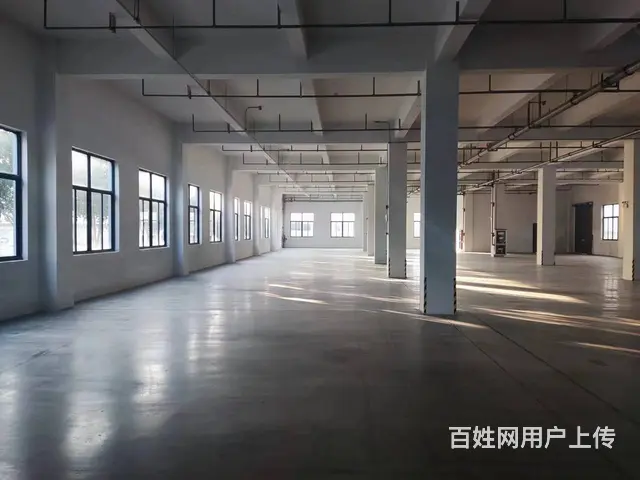南港厂房、仓库470平、价格实惠 - 图片