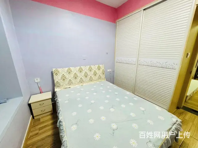侯家塘 白沙路 白沙晶城 一室一厅 朝南 户型周正 - 图片 4