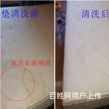 广州江南西除螨公司，清洁螨虫服务，上门清洗床垫除螨 - 图片 1