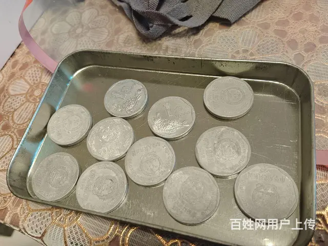 九凌菊花 - 图片 2