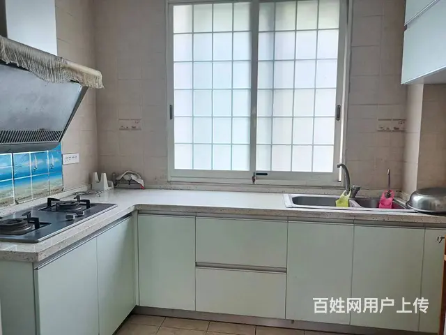 一楼带花园  南昌路  兴隆花园  精装双气 三室两厅 - 图片 7