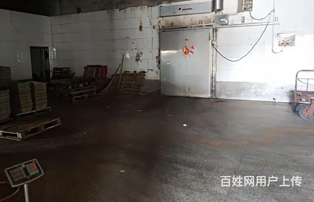 文登市区独门独院冷藏厂出租 - 图片 7
