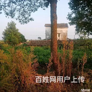 农村私房整体出售 - 图片 1