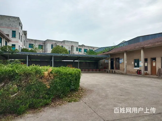 桃源临街厂房出租 - 图片 2