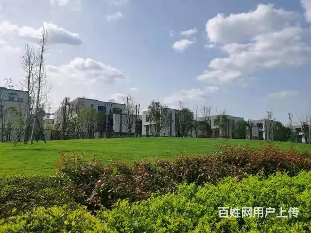 长沙南绿心旁田园别墅出售 - 图片 3