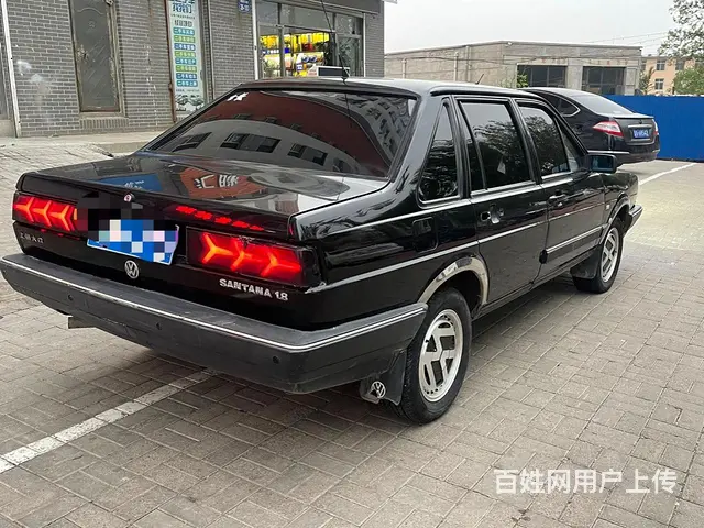 普桑 - 图片 5