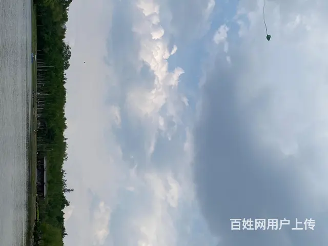 出售锦州太和区果树农场刘中村土地4亩 - 图片