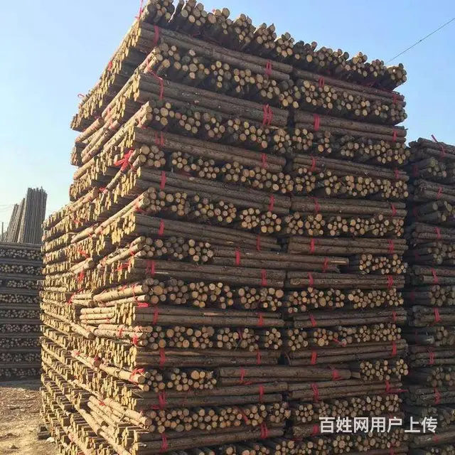 威海园林绿化杉木杆，竹杆批发现货供应_12小时送达 - 图片 7