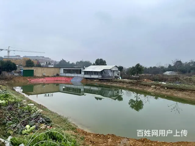 （老板本人） 开福区捞刀河白霞村独门独院农家乐出租 6014 - 图片 8