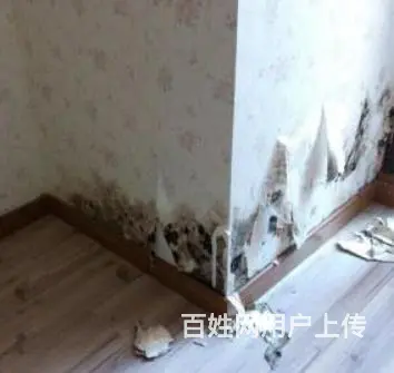 松阳屋顶防水补漏,松阳天沟做防水,【科学管理】 - 图片