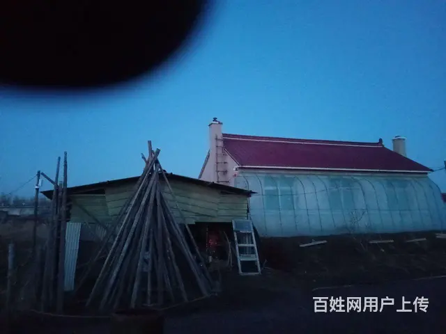 民房出售带冷棚 - 图片 4