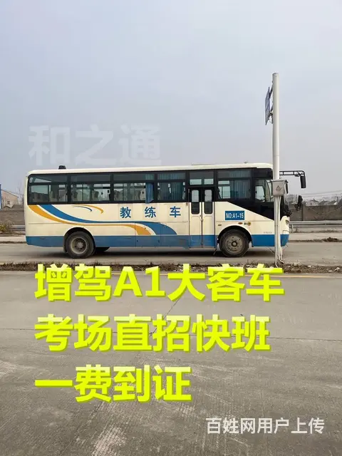 全国快班增驾A1大客车泉州直考A3驾照报名学费多少 - 图片 6