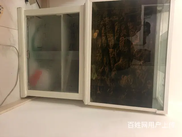 鱼缸转让 - 图片