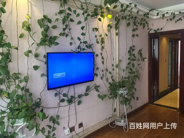 （都市信息）州医院旁水利大厦家庭公寓出租 - 图片 3